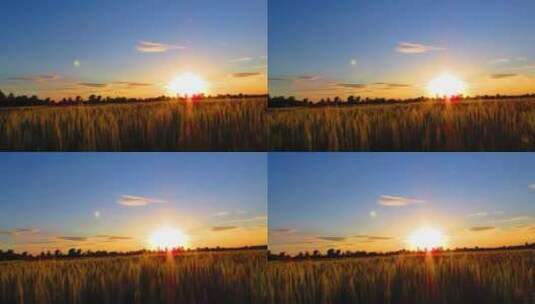 田野上的日落景色高清在线视频素材下载