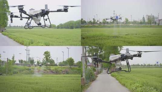 【合集】无人机在绿色麦田中喷洒农药高清在线视频素材下载