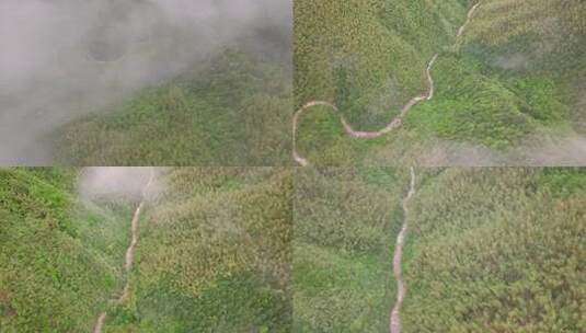 实拍雨后森林云雾缭绕 绿水青山 高山云海高清在线视频素材下载