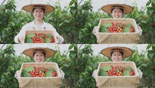 中年女性农民在果园手捧竹篮樱桃高清在线视频素材下载