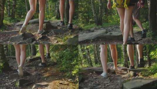 森林徒步探险腿脚步特写高清在线视频素材下载