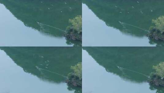 山水湖泊小船飞鸟唯美中国风高清在线视频素材下载