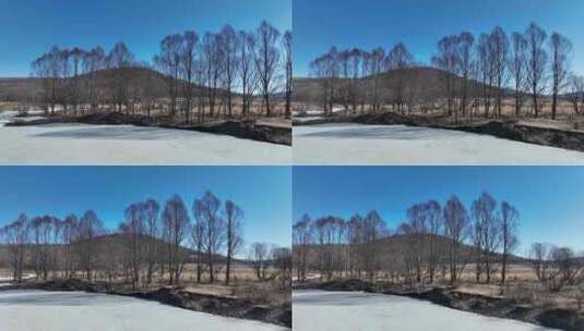 大兴安岭春天自然风景河谷红柳高清在线视频素材下载