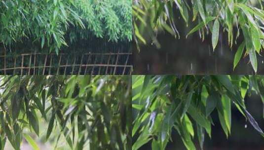 雨水雨滴落在竹叶上合集高清在线视频素材下载