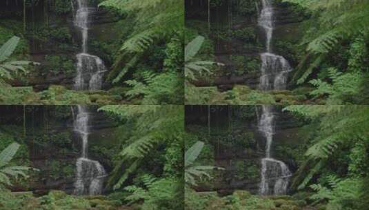 森林秘境瀑布原始森林山涧流水桫椤高清在线视频素材下载