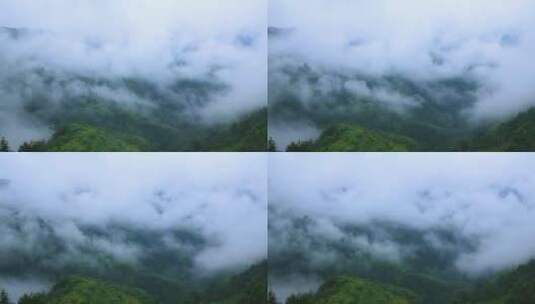 雨后云雾缭绕山区山林美景高清在线视频素材下载