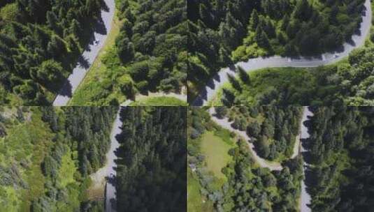 原始森林里公路上行驶的汽车高清在线视频素材下载