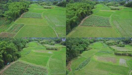 航拍田野菜地高清在线视频素材下载