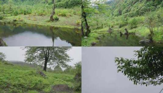 树木 山水 湖泊 高原 高山山腰山坡高清在线视频素材下载