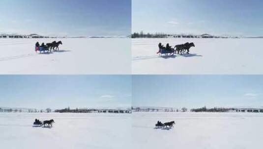 雪橇跑步旅游高清在线视频素材下载