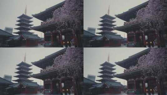 日本寺庙的美丽风景高清在线视频素材下载