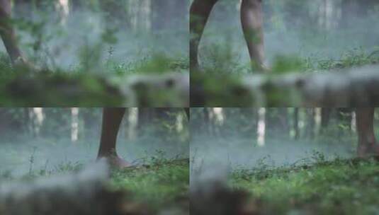 女孩光脚走在森林绿草地上的特写高清在线视频素材下载