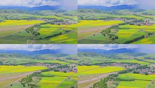 四川甘孜州道孚县惠远寺夏季草原油菜花航拍高清在线视频素材下载