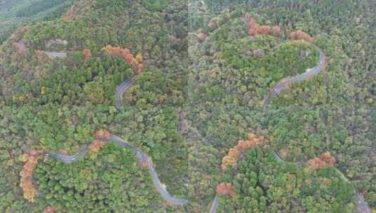 【合集】秋季盘山公路自驾游高清在线视频素材下载