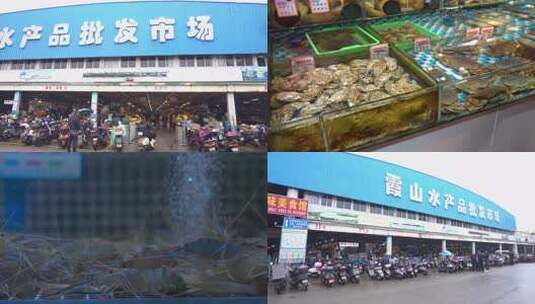 广东湛江霞山海鲜市场素材合集生鲜鱼虾蟹高清在线视频素材下载