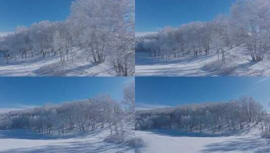 乌兰布统雾凇雪景雪林航拍高清在线视频素材下载