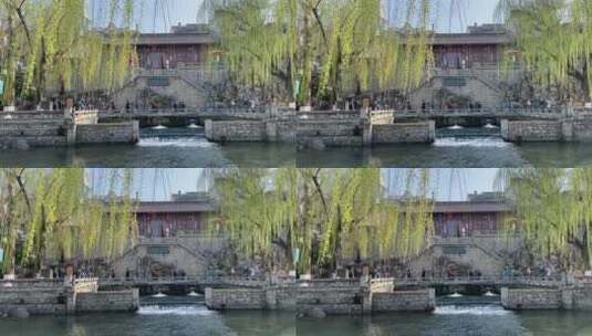 济南春天的护城河,河边的植物高清在线视频素材下载