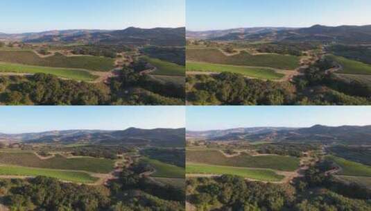葡萄种植区的景观高清在线视频素材下载