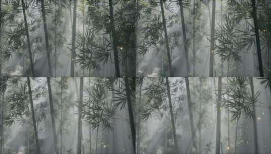 竹林与晨雾的自然景观高清在线视频素材下载