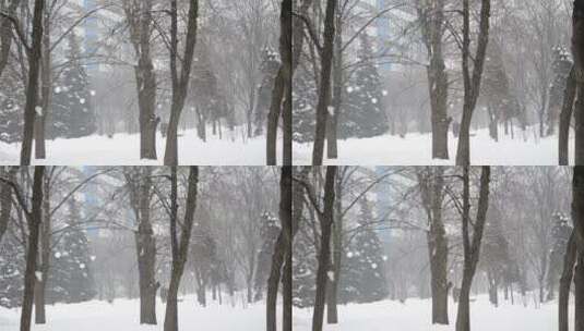城市公园里下着厚厚的雪高清在线视频素材下载