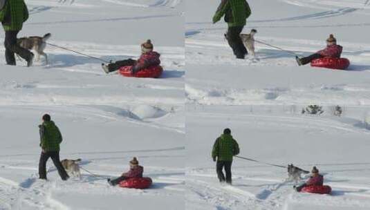 父子俩在雪地里玩耍高清在线视频素材下载