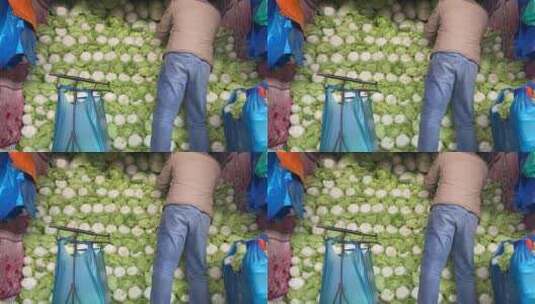 济南七里堡蔬菜批发市场，蔬菜批发高清在线视频素材下载