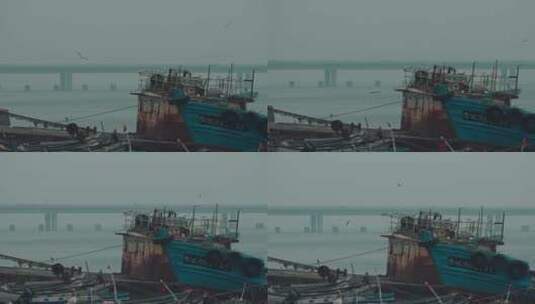 青岛海岸渔民高清在线视频素材下载