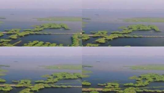 4K航拍湖南洞庭湖鱼米之乡高清在线视频素材下载