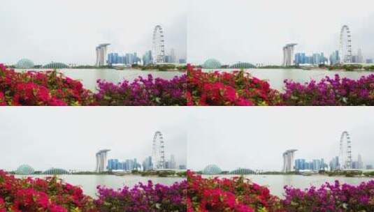 城市景观与花卉高清在线视频素材下载