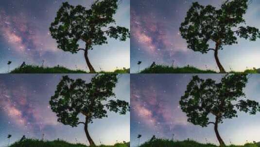 广东江门浪漫的大树与银河高清在线视频素材下载