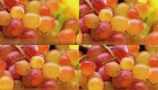 葡萄水果黄色可口色彩鲜艳诱人高清在线视频素材下载