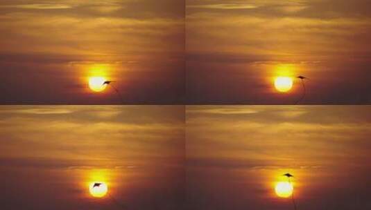 风筝在日落见上升高清在线视频素材下载