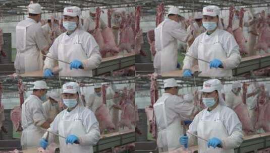 羊肉养殖加工素材高清在线视频素材下载