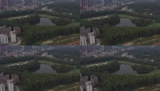 航拍深圳城市绿化高清在线视频素材下载