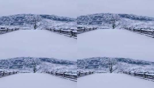 皑皑白雪，享受大自然的美，风有风的自由高清在线视频素材下载