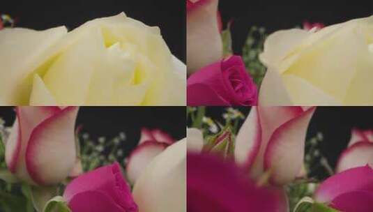 粉红色和白色花朵特写高清在线视频素材下载