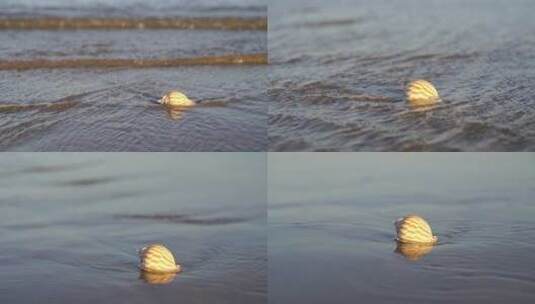 阳光沙滩下海螺贝壳海水浪花海滩沙子夕阳光高清在线视频素材下载