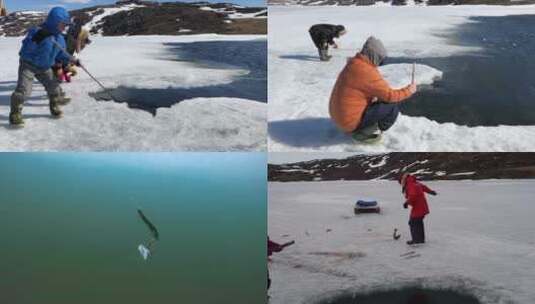 北极因纽特家族狩猎 冰钓北极鲑鱼 合集高清在线视频素材下载