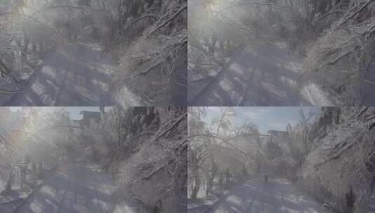 雪后冰挂高清在线视频素材下载
