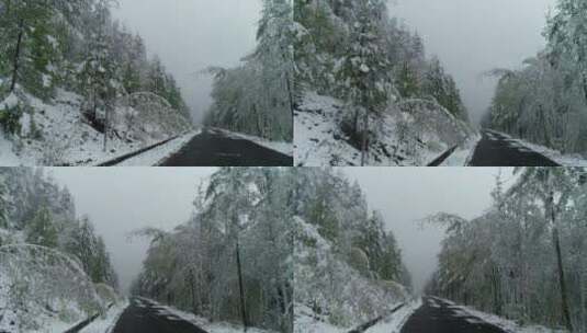 航拍森林冰雪高清在线视频素材下载