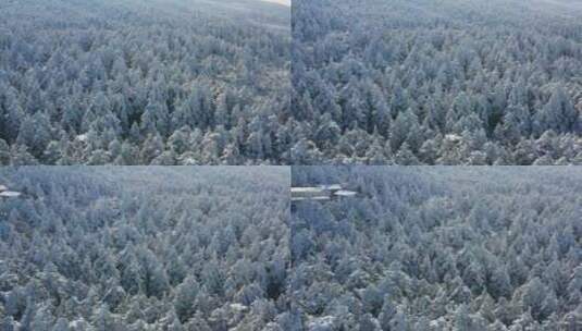 航拍峨眉山顶雪中的森林高清在线视频素材下载
