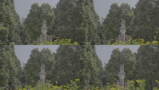 广场 丛林 雕像 欧美 欧美 法式 欧洲风情高清在线视频素材下载