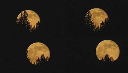傍晚的月亮高清在线视频素材下载