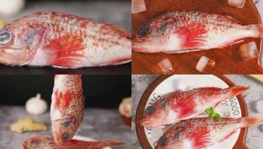 红石斑鱼 海鲜高清在线视频素材下载