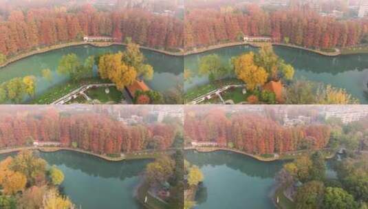 武汉解放公园深秋初冬航拍风光高清在线视频素材下载