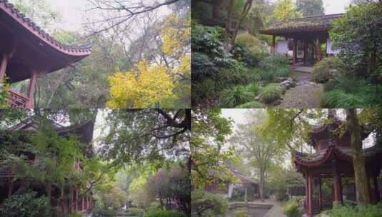 杭州宝石山连横纪念馆玛瑙寺旧址4K视频合集高清在线视频素材下载