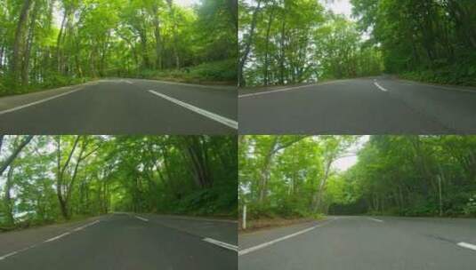 快速行驶在森林里的道路高清在线视频素材下载