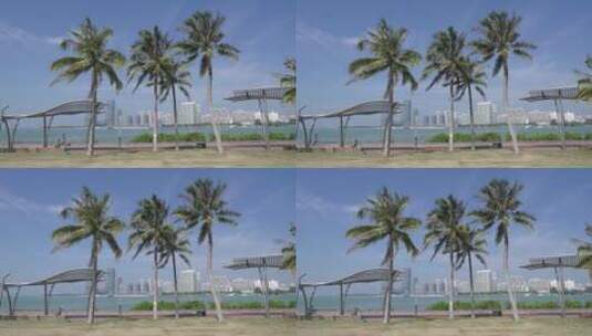 阳光椰子树椰林高清在线视频素材下载