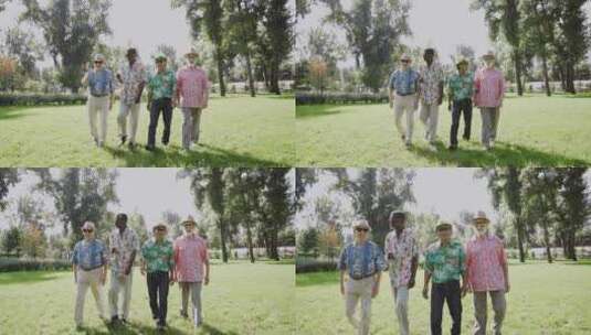 公园里的四个老朋友高清在线视频素材下载