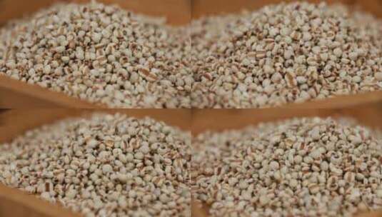 五谷杂粮主食薏米仁高清在线视频素材下载